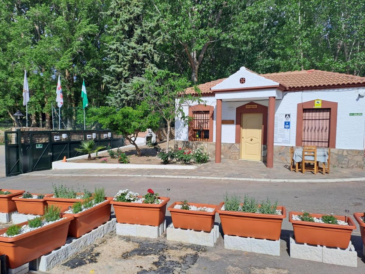 Camping Valle Del Andarax Fondón Kültér fotó