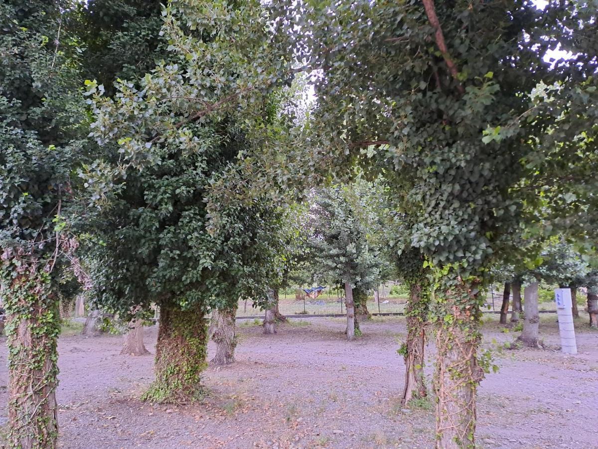 Camping Valle Del Andarax Fondón Kültér fotó