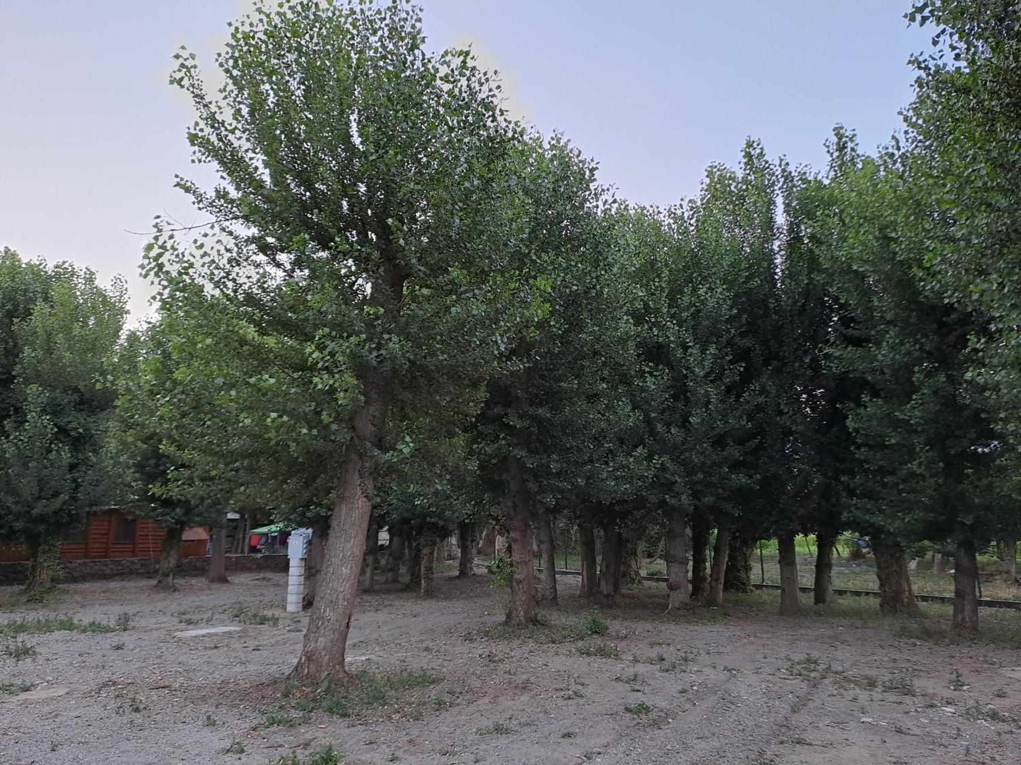 Camping Valle Del Andarax Fondón Kültér fotó