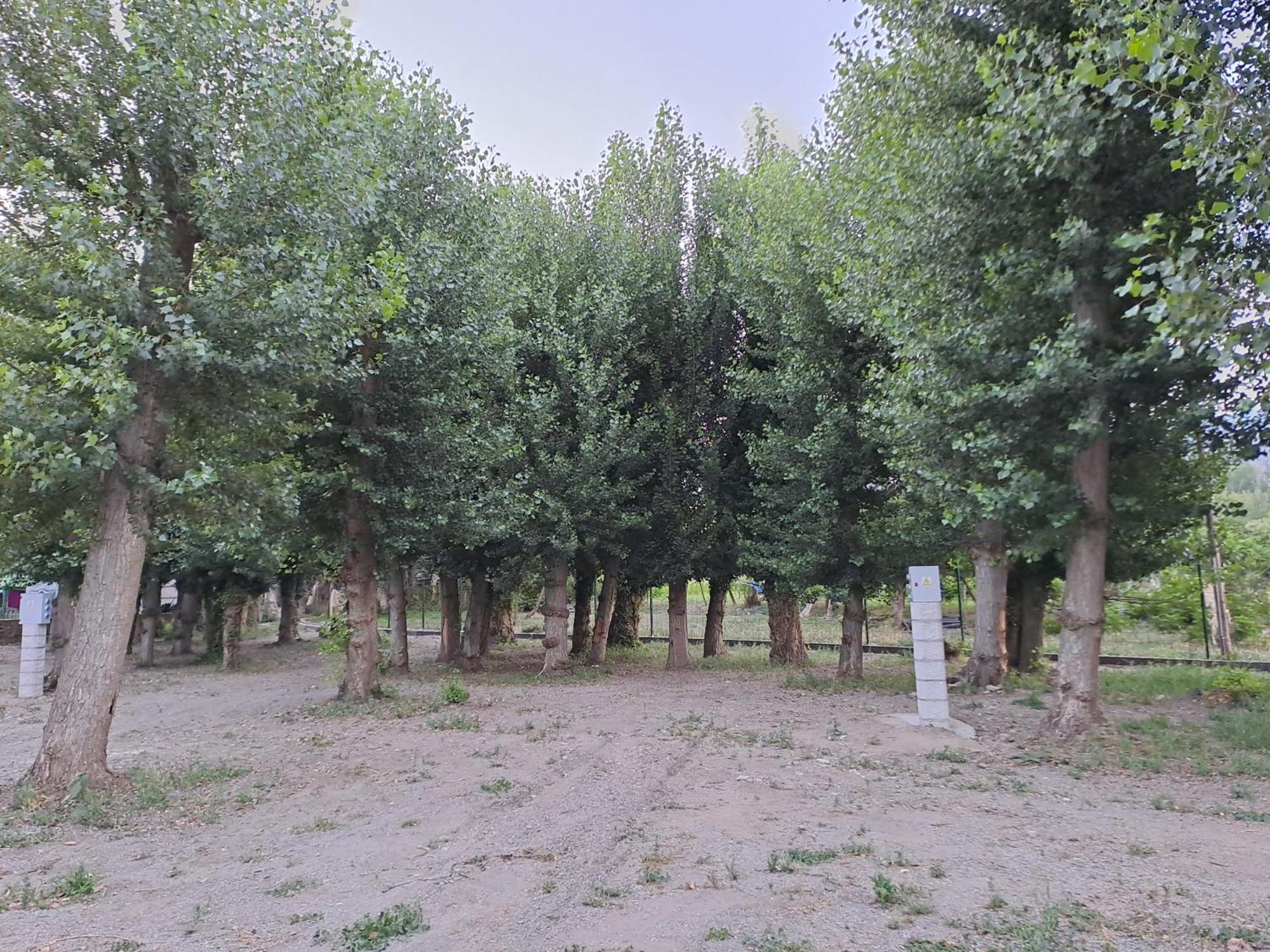 Camping Valle Del Andarax Fondón Kültér fotó