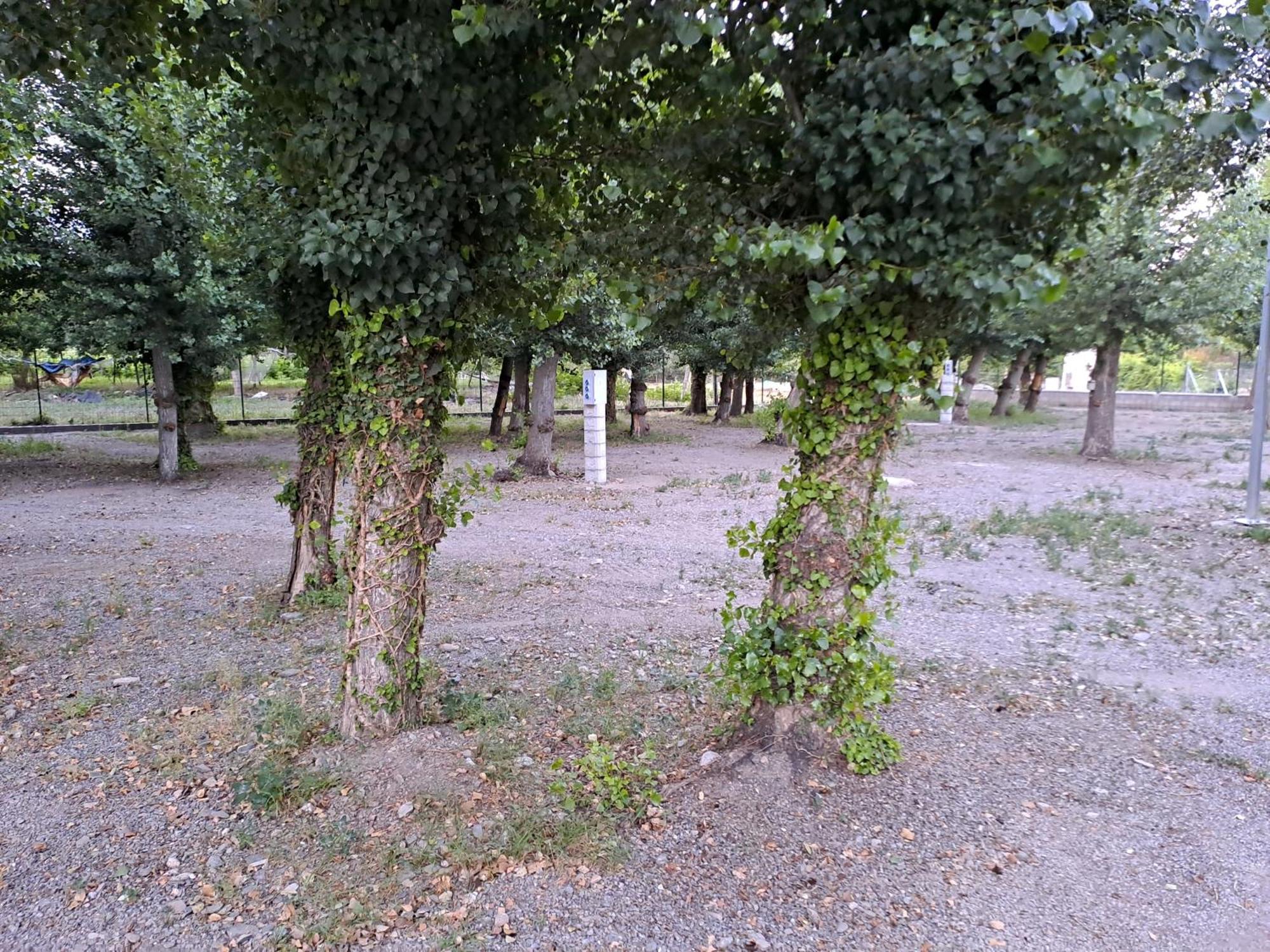 Camping Valle Del Andarax Fondón Kültér fotó